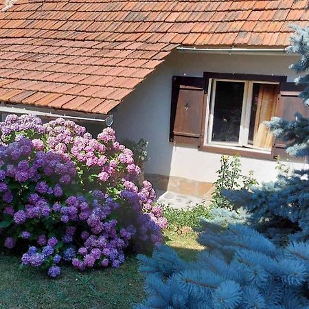 Apartman Nebojsa Rudnik Kültér fotó