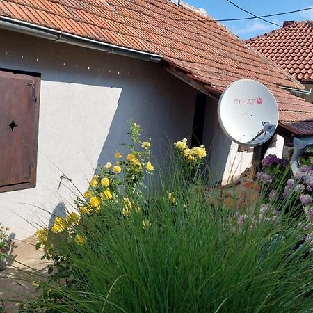 Apartman Nebojsa Rudnik Kültér fotó