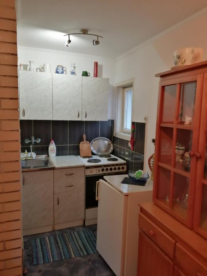 Apartman Nebojsa Rudnik Kültér fotó