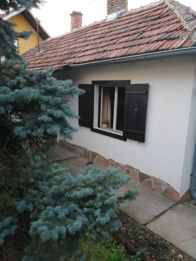 Apartman Nebojsa Rudnik Kültér fotó