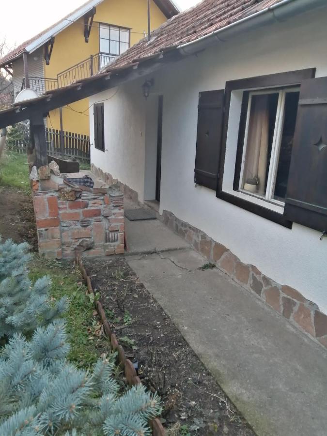 Apartman Nebojsa Rudnik Kültér fotó