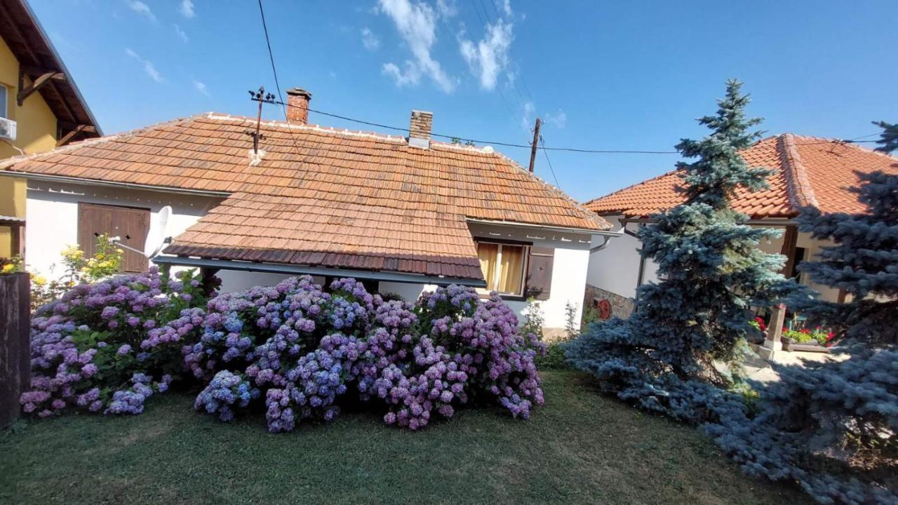 Apartman Nebojsa Rudnik Kültér fotó