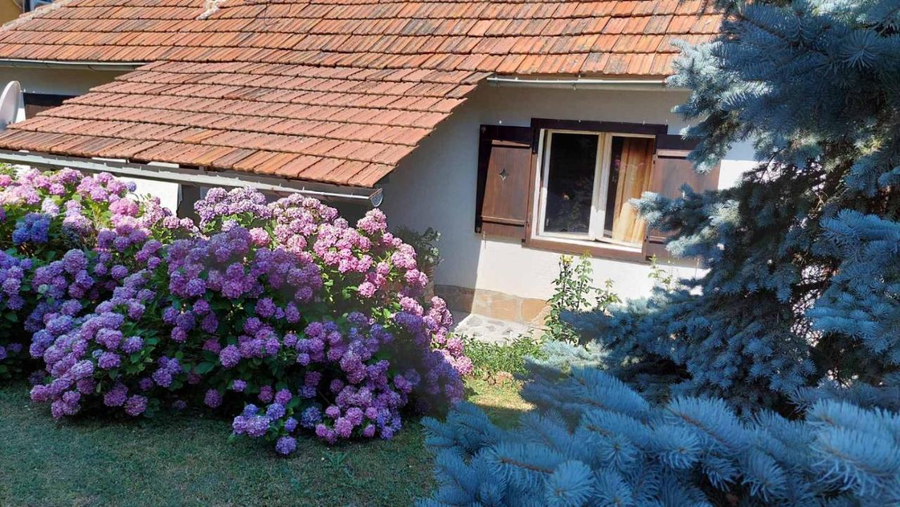 Apartman Nebojsa Rudnik Kültér fotó