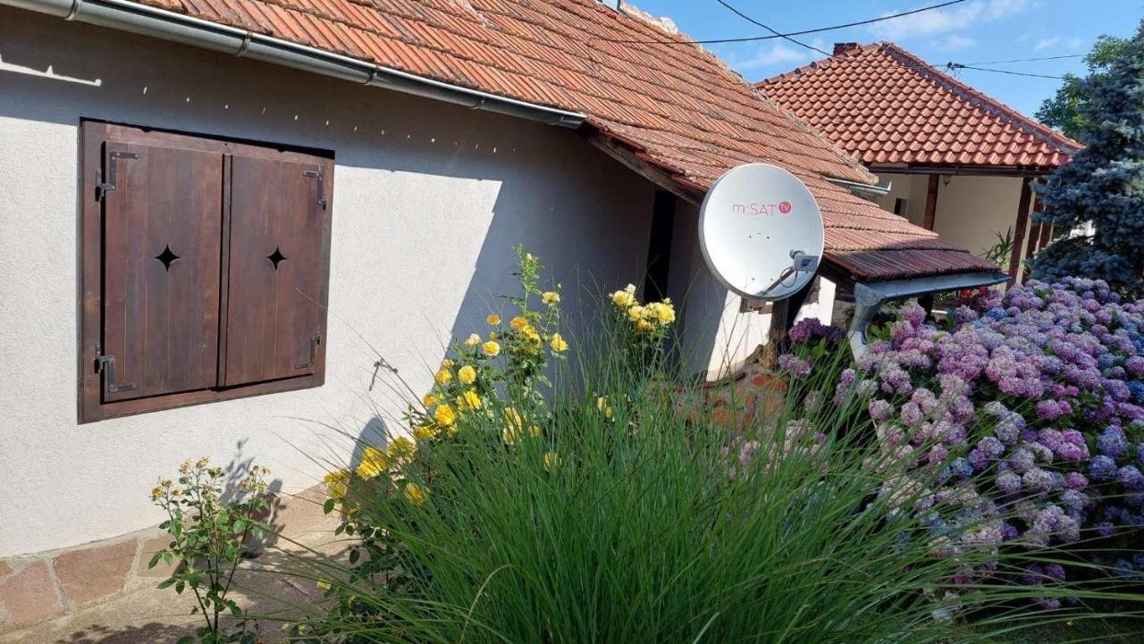 Apartman Nebojsa Rudnik Kültér fotó