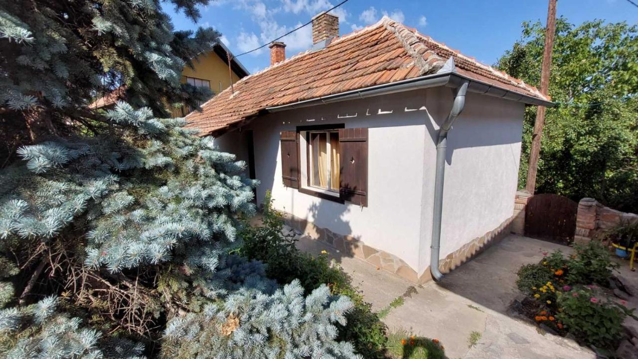 Apartman Nebojsa Rudnik Kültér fotó