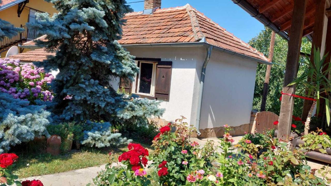 Apartman Nebojsa Rudnik Kültér fotó