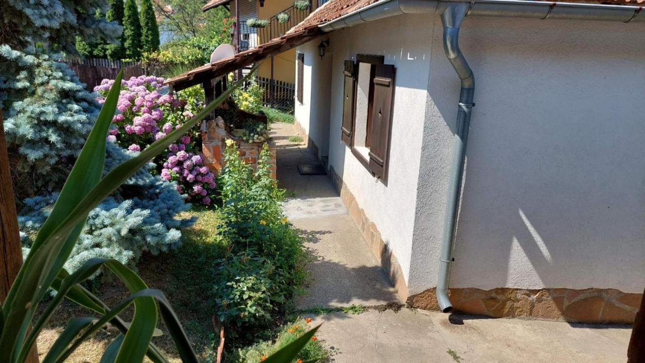 Apartman Nebojsa Rudnik Kültér fotó