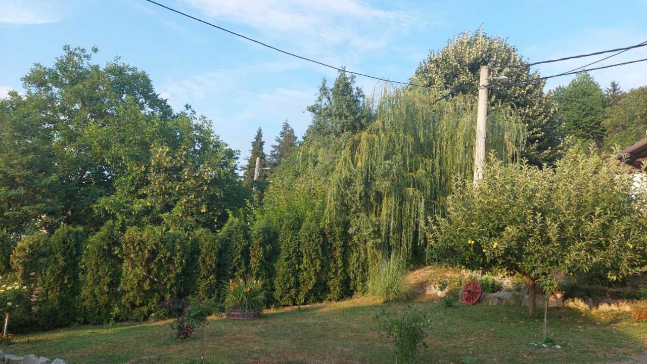 Apartman Nebojsa Rudnik Kültér fotó