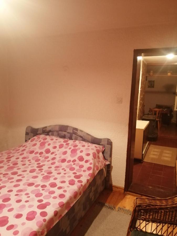 Apartman Nebojsa Rudnik Kültér fotó